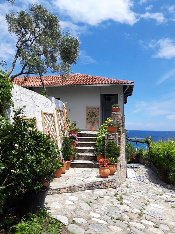 Agios Ioannis Ammos Papanero公寓 外观 照片
